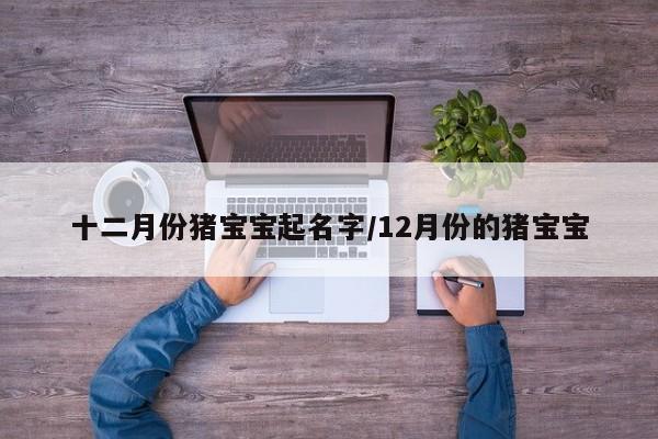 十二月份猪宝宝起名字/12月份的猪宝宝