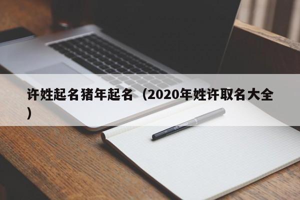 许姓起名猪年起名（2020年姓许取名大全）
